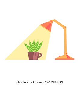 Vector illustration, potted plant under the lamp light, flat style. Can be used as interior elements, home decoration, applicable for plants care leaflets, hygge illustrations etc.