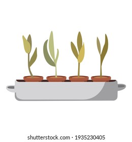 Ilustración vectorial de plantas macetas