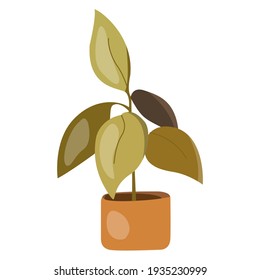 Vector illustration of potted plants