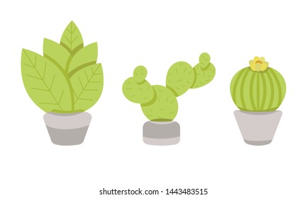 
vector illustration of potted plants, cactus, leaves