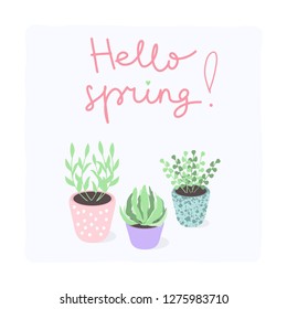 Vector illustration with potted plants and words ''Hello, spring!'', perfect for greeting cards, banners, etc.
