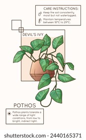 Vector illustration of potted pothos plant. Design of poster for care instruction of houseplant. Flower shop, home garden concept. Devil’s ivy plant.