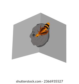 vector illustration of potter wasp on white background