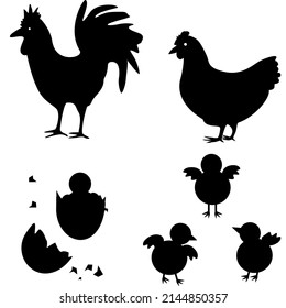 Vector illustration of poultry chicken bird family set, Silhouette vector.