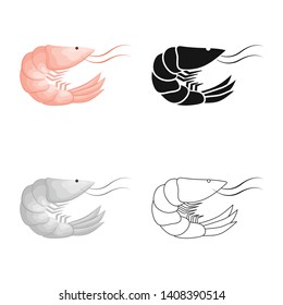 Vector illustration of prawn  and creature  icon. Set of prawn  and fresh  stock vector illustration.