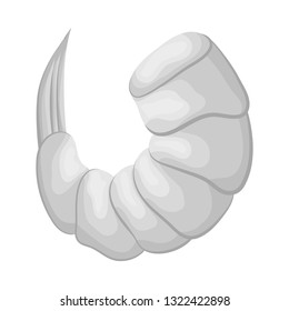 Vector illustration of prawn  and creature  logo. Collection of prawn  and fresh  stock vector illustration.