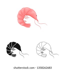 Vector illustration of prawn  and creature  sign. Set of prawn  and fresh  stock symbol for web.