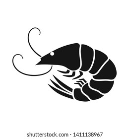 Vector illustration of prawn and raw  symbol. Collection of prawn and cooked stock vector illustration.