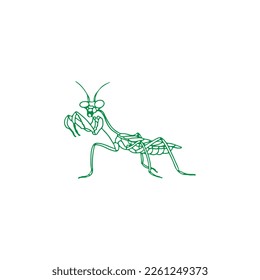 vector illustration of praying mantis