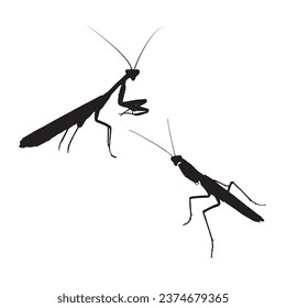 Vector Illustration of Praying Mantis Silhouette