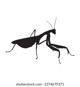 Vector Illustration of Praying Mantis Silhouette