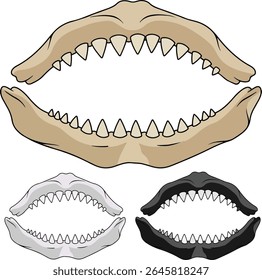 Vector illustration of predator jaws set. Open mouth with sharp teeth of a monster, dinosaur, or shark. Isolated on white background