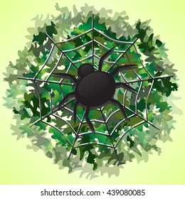 vector illustration predatory black spider weaves a web silk nets-traps for insects hanging by a thread Habitat: shrubs near ponds groves forests fields gardens cunning clever predator