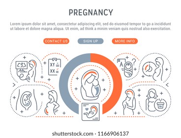 Vector illustration of the pregnancy. 