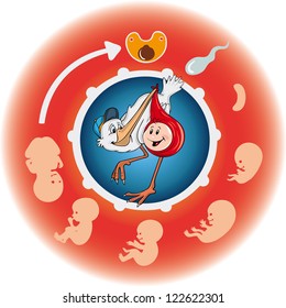 Vector illustration of pregnancy calendar