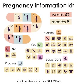 vector illustration / pregnancy information kit