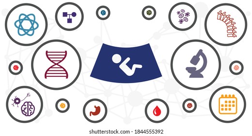 vector illustration of pregnancy screening and early disease diagnostics laboratory gynecology