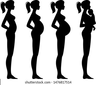 Vector illustration of pregnant female silhouettes and baby. Woman's body and its changes during pregnancy