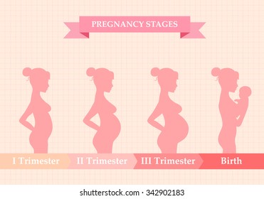 Vector illustration of pregnant female silhouettes. Changes in a woman's body in pregnancy. Pregnancy stages, trimesters and birth, pregnant woman and baby. Infographic elements