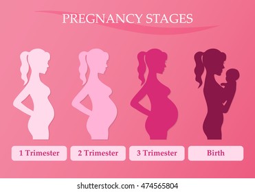 Ilustración vectorial de siluetas femeninas preñadas. Cambios en el cuerpo de la mujer durante el embarazo. Fases de embarazo, trimestre y parto.