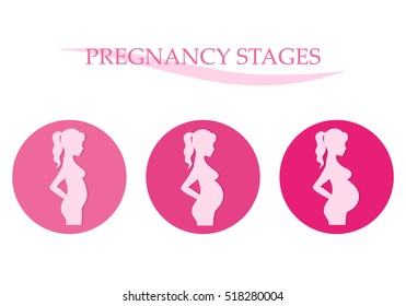 Vector illustration of pregnant female silhouettes. Changes in a woman's body in pregnancy. Pregnancy stages, trimesters and birth.