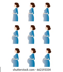Vector illustration of pregnant female silhouettes showing changes