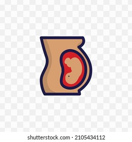 Vector illustration of pregnant mother in transparent background(png).