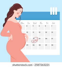  A vector illustration of a pregnant woman with a calendar marking the due date. Perfect for pregnancy content, family planning, and medical materials. Modern flat design with a warm color palette.