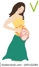 vector illustration of a pregnant woman stroking her stomach. RH factor. RH negative woman and RH negative child