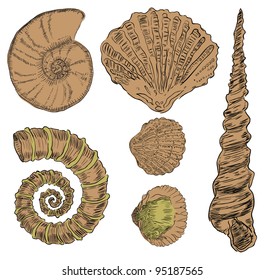 Vector illustration of prehistoric life forms. Drawings are made by hand.