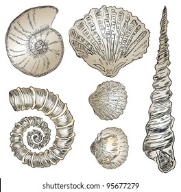 Vector illustration of prehistoric life forms. Drawings are made by hand.