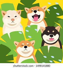 Vector illustration with pretty dog. Shiba inu. 