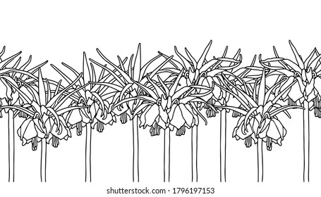 Vector illustration. Pretty hand drawn seamless border in cute garden flowers.  Flower grouse. Beautiful garden flower. Botanical illustration. Coloring page.