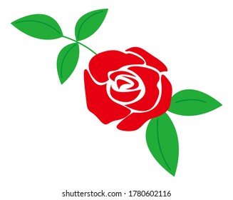 Vector illustration of a pretty rose . 
Red rose 