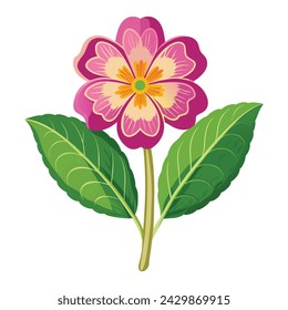 Vector of illustration primrose on white