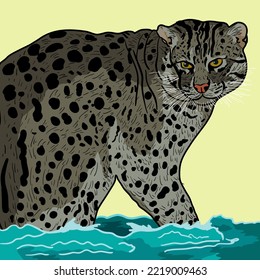 Vector illustration of Prionailurus viverrinus is a medium-sized lying cat of South and Southeast Asia. The size of a mangrove cat is about twice the size of a domestic cat.