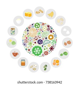 Vector Illustration Of Probiotic And Prebiotic Food Ingredients Symbols For Healthy Nutrition Supplies Concept  
