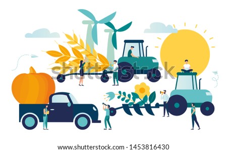 Vector illustration, a process of harvesting crops on a tractor, ears with whole grains and leaves, yellow wheat, rye or barley