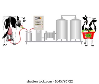 Vector Illustration. Production of cow's milk. Factory producing milk from the cow.