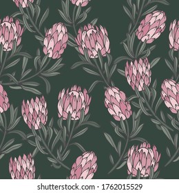 Vector illustration protea flower - vintage engraved style. Seamless pattern in retro botanical style