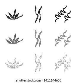 Vector illustration of protein and sea sign. Collection of protein and natural vector icon for stock.