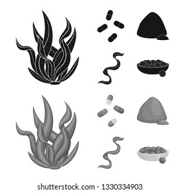 Vector illustration of protein and sea symbol. Collection of protein and natural vector icon for stock.