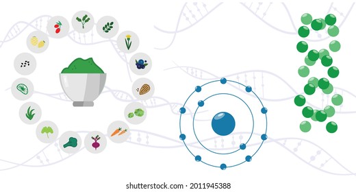 vector illustration of protein and tryptophan sources food and DNA chains for proper nutrition