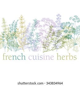 vector illustration of provence herbs
