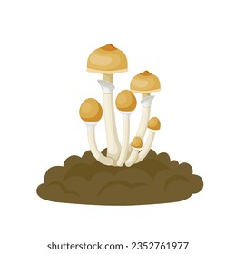 Vector illustration, Psilocybe cubensis, known as magic mushroom, which grows in cow dung, isolated on white background.