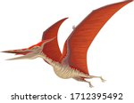 Vector illustration of a Pteranodon flying dinosaur.