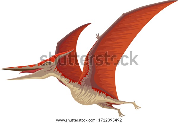 プテラノドン飛翔恐竜のベクターイラスト のベクター画像素材 ロイヤリティフリー