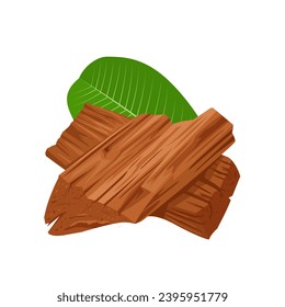 Vector illustration, Pterocarpus marsupium, also known as Malabar kino, Indian kino, Vijayasar, or Venkai, isolated on white background.