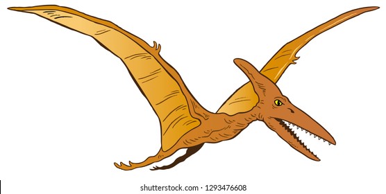 Vector Illustration Of Pterodactyl Dinosaur