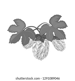 Vector illustration of pub and bar logo. Collection of pub and interior stock symbol for web.